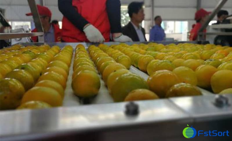 images/1666774610496orange sorter.jpg